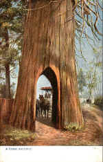 Horse Archway (A)