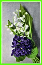 Lily-of-the-Valley and Violets