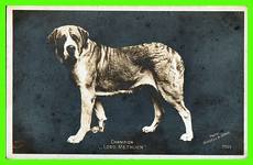 Lord Methuen