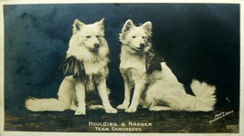Houlding and Hansen Team Samoyed<