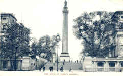 Duke of York's column (The)
