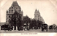 Natural History Museum (The)