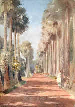 Palm Avenue, Botanical Gardens, Calcutta