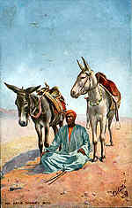 An Arab Donkey Boy