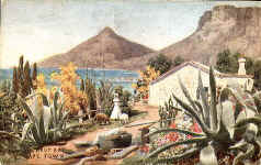 Farm near Hout Bay, Cape Town