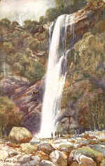 Milford Sound N.Z.