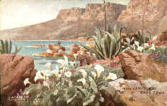 Near Camps Bay Cape Town