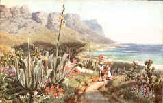 Table Mountain, Cape Town
