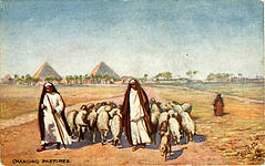 Changing Pastures