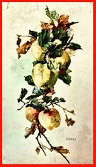 Apple leaves and fruit