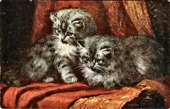 Kittens