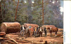 Lumbering Scene