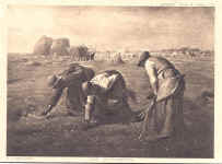 The Gleaners