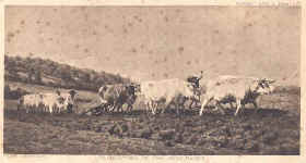 Ploughing in the Nivernais