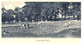 Greenwich Park