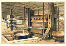 Cider making