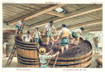 Wine-Making