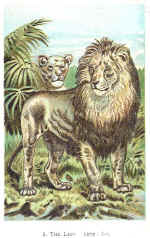 01. The Lion