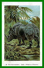 09. The Rhinoceros<