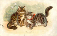 Persian Cats
