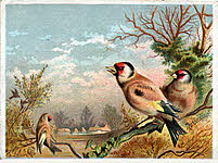 Goldfinch (The)