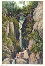 Dungeon Gill