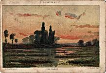 The Marsh