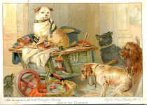 Jack in Office