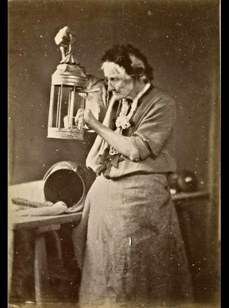 Image 10