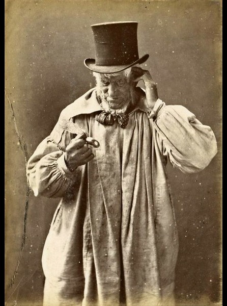 Image 13